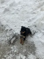 processed/2f6b0f8c-3c7f-4c64-a109-4dd9487f0958/listing/39a68e64-a432-4590-86eb-4c6ccc746c6e/29d82a2b-c596-402a-9188-b23743743bfa