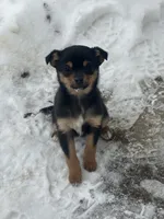 processed/2f6b0f8c-3c7f-4c64-a109-4dd9487f0958/listing/39a68e64-a432-4590-86eb-4c6ccc746c6e/5b471592-8822-4814-b419-b33123720d85