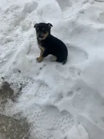 processed/2f6b0f8c-3c7f-4c64-a109-4dd9487f0958/listing/39a68e64-a432-4590-86eb-4c6ccc746c6e/f46fbfb3-281d-41b4-a5ff-5a7ab67225fc