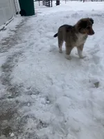 processed/2f6b0f8c-3c7f-4c64-a109-4dd9487f0958/listing/462f9fa9-d67a-414f-b44f-b5d966d16fee/9c136055-87e9-43a5-8f77-e2fb14695432