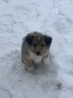 processed/2f6b0f8c-3c7f-4c64-a109-4dd9487f0958/listing/462f9fa9-d67a-414f-b44f-b5d966d16fee/e8ff7ef4-70d0-48de-972a-7a17c53ec9d3