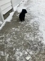 processed/2f6b0f8c-3c7f-4c64-a109-4dd9487f0958/listing/53b6878e-b2dc-4e99-b81f-9e03d965e88f/9bcd4c1f-cdd9-40cb-ba6c-85c3c1ac0116