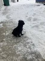 processed/2f6b0f8c-3c7f-4c64-a109-4dd9487f0958/listing/53b6878e-b2dc-4e99-b81f-9e03d965e88f/a52c61e9-dde2-4508-9236-bd2600890579