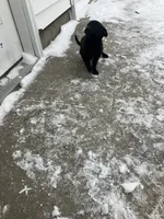 processed/2f6b0f8c-3c7f-4c64-a109-4dd9487f0958/listing/53b6878e-b2dc-4e99-b81f-9e03d965e88f/db992efa-4ba3-4069-86b6-37323b293d78