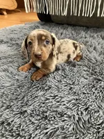 processed/2f6b0f8c-3c7f-4c64-a109-4dd9487f0958/listing/a8201f17-e38a-48ef-8181-78f56ec611f9/1d4925c6-f210-41bf-b777-cd52c8272dc7