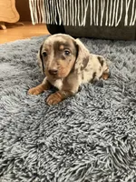 processed/2f6b0f8c-3c7f-4c64-a109-4dd9487f0958/listing/a8201f17-e38a-48ef-8181-78f56ec611f9/d1304ab6-d186-4da1-ae93-1c149d7f9642