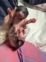 Chunky Monkey , a female Xoloitzcuintli for sale in Manitowoc, WI – Photo 6 of 7