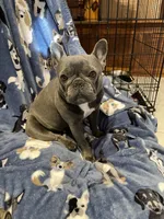 processed/2f70e574-c9f3-4948-8800-269d34666b99/facility/59607353-1aeb-4ee5-b3c9-6cf89045b5d5