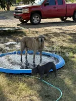 processed/2f70e574-c9f3-4948-8800-269d34666b99/facility/f581ec39-70a9-4d47-8668-2042b567cbf4