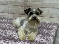 processed/2f70e574-c9f3-4948-8800-269d34666b99/facility/f89fa7b0-946c-49a4-929b-d4555fcade67