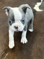 processed/2f74e85b-54e6-4450-a3d4-111618fa016c/listing/e175e91c-aa73-4a6d-ad6d-e3931c4e107e/18b965f4-f764-400b-bd6a-deb752512255