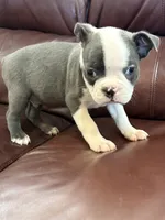 processed/2f74e85b-54e6-4450-a3d4-111618fa016c/listing/e175e91c-aa73-4a6d-ad6d-e3931c4e107e/1de9175c-422c-4996-be31-8c2faf48e22c