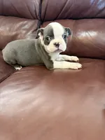 processed/2f74e85b-54e6-4450-a3d4-111618fa016c/listing/e175e91c-aa73-4a6d-ad6d-e3931c4e107e/6c62eec8-3062-4592-817c-05a5b8c93d2f