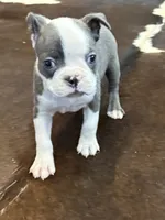 processed/2f74e85b-54e6-4450-a3d4-111618fa016c/listing/e175e91c-aa73-4a6d-ad6d-e3931c4e107e/aaa99b9f-b797-45cb-90f0-9e1329779fa8