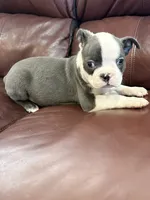 processed/2f74e85b-54e6-4450-a3d4-111618fa016c/listing/e175e91c-aa73-4a6d-ad6d-e3931c4e107e/d1778bc3-f134-4f9a-a873-5565c9aaa9b8