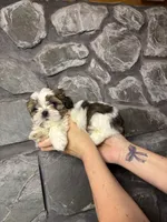 processed/2f782026-2aff-49e8-ac9e-fa5290b53227/listing/750518a3-24bd-4270-8537-329deac9cfaa/5888d031-d0cf-451f-85b6-862cf41dfc36