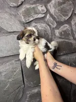 processed/2f782026-2aff-49e8-ac9e-fa5290b53227/listing/750518a3-24bd-4270-8537-329deac9cfaa/701ce44d-ab3f-4f9b-877b-f79ff5bd73ee