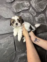 processed/2f782026-2aff-49e8-ac9e-fa5290b53227/listing/750518a3-24bd-4270-8537-329deac9cfaa/b2fc9343-9b91-4079-9490-ea60c9676beb