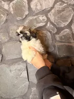 processed/2f782026-2aff-49e8-ac9e-fa5290b53227/listing/c24cccdd-2282-4d6b-9dc4-e031e7951eac/549f6bf3-f7a1-42b0-9dfb-d680a80b2435