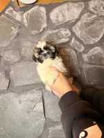 processed/2f782026-2aff-49e8-ac9e-fa5290b53227/listing/c24cccdd-2282-4d6b-9dc4-e031e7951eac/a967882d-8435-42b0-ab8c-de956b2ef368