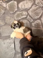 processed/2f782026-2aff-49e8-ac9e-fa5290b53227/listing/c24cccdd-2282-4d6b-9dc4-e031e7951eac/f3b4b341-b08a-4b97-b1ea-30269032651a