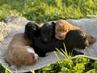 processed/2f79db24-4eec-4ef0-ac01-f1d3d51758a1/listing/ce067c77-37d2-41a7-a0b7-953a41388ad3/8270319c-99c1-4c59-82ef-208e710dc5e7