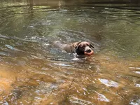 processed/2f876b5a-2132-4b18-9d9a-36b8584f8509/listing/315a4efc-90d9-4b33-a32b-7cdc995ad52e/40fd9590-ed45-4cd0-8900-6db58bd65e82