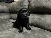 processed/2f876b5a-2132-4b18-9d9a-36b8584f8509/listing/315a4efc-90d9-4b33-a32b-7cdc995ad52e/76efa8bc-d931-4ae3-b40f-5bdf143dd019