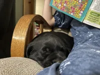 processed/2f876b5a-2132-4b18-9d9a-36b8584f8509/listing/315a4efc-90d9-4b33-a32b-7cdc995ad52e/982221c2-660c-449a-9b30-54b767d6930e