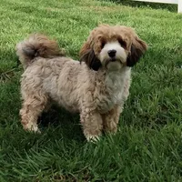 processed/2f88d955-71be-49b8-899f-bad3d833a4ea/facility/2f323257-224e-4d78-9c56-fc7e979822a3