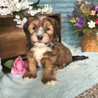 processed/2f88d955-71be-49b8-899f-bad3d833a4ea/facility/36820d59-2191-41ae-904b-d435c50fb687