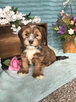 processed/2f88d955-71be-49b8-899f-bad3d833a4ea/facility/36820d59-2191-41ae-904b-d435c50fb687