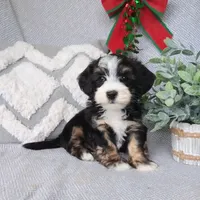 processed/2f88d955-71be-49b8-899f-bad3d833a4ea/facility/5e8d9991-73c4-4e1a-8842-5e31afda49db