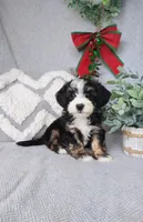 processed/2f88d955-71be-49b8-899f-bad3d833a4ea/facility/5e8d9991-73c4-4e1a-8842-5e31afda49db