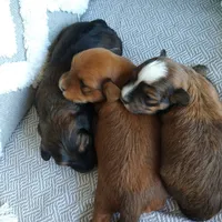 processed/2f88d955-71be-49b8-899f-bad3d833a4ea/facility/65fb0d28-38cf-4b75-8c09-062195e2a1f4