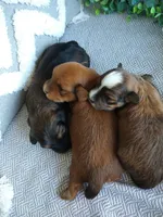 processed/2f88d955-71be-49b8-899f-bad3d833a4ea/facility/65fb0d28-38cf-4b75-8c09-062195e2a1f4