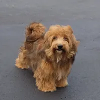 processed/2f88d955-71be-49b8-899f-bad3d833a4ea/facility/7bd44957-2122-43fc-8dd1-4ffb6222acb7