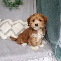 processed/2f88d955-71be-49b8-899f-bad3d833a4ea/facility/81d6aa7a-5d48-4c6b-9b86-9f3cd053ce20