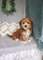 processed/2f88d955-71be-49b8-899f-bad3d833a4ea/facility/81d6aa7a-5d48-4c6b-9b86-9f3cd053ce20