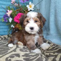 processed/2f88d955-71be-49b8-899f-bad3d833a4ea/facility/a4531298-6291-43ab-aaa8-be858b501c4b