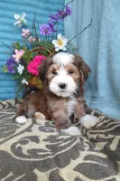 processed/2f88d955-71be-49b8-899f-bad3d833a4ea/facility/a4531298-6291-43ab-aaa8-be858b501c4b