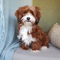 processed/2f88d955-71be-49b8-899f-bad3d833a4ea/facility/d01f8e6d-ee59-4a8f-8920-4305a9093137