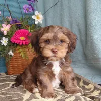 processed/2f88d955-71be-49b8-899f-bad3d833a4ea/facility/e2ef2ee3-9f76-4b7f-987d-42c67d0c8083