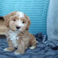 processed/2f88d955-71be-49b8-899f-bad3d833a4ea/facility/f4325846-640d-4d25-982c-61ce7634fbf0