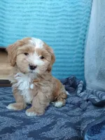 processed/2f88d955-71be-49b8-899f-bad3d833a4ea/facility/f4325846-640d-4d25-982c-61ce7634fbf0