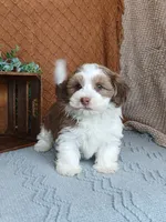 processed/2f88d955-71be-49b8-899f-bad3d833a4ea/listing/02d00109-50f0-42be-afa2-318dbd593220/1685c9a7-93cb-4d58-9b2e-32d2532042d4