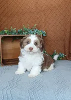 processed/2f88d955-71be-49b8-899f-bad3d833a4ea/listing/02d00109-50f0-42be-afa2-318dbd593220/1e8799a7-79c8-4d59-9bd9-359e380f136c