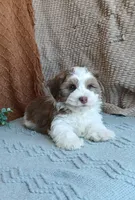 processed/2f88d955-71be-49b8-899f-bad3d833a4ea/listing/02d00109-50f0-42be-afa2-318dbd593220/dded81f5-2381-4133-9a88-d68d4ac6826c