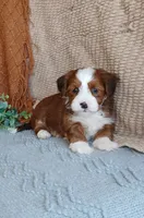 processed/2f88d955-71be-49b8-899f-bad3d833a4ea/listing/0443fd1f-a739-4c6f-a17a-13513d17d256/2e500635-ba0d-4c47-a8d2-e15793a51b0a