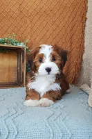 processed/2f88d955-71be-49b8-899f-bad3d833a4ea/listing/0443fd1f-a739-4c6f-a17a-13513d17d256/5e38f7d2-752d-4fea-a78d-ef6f87c8554b